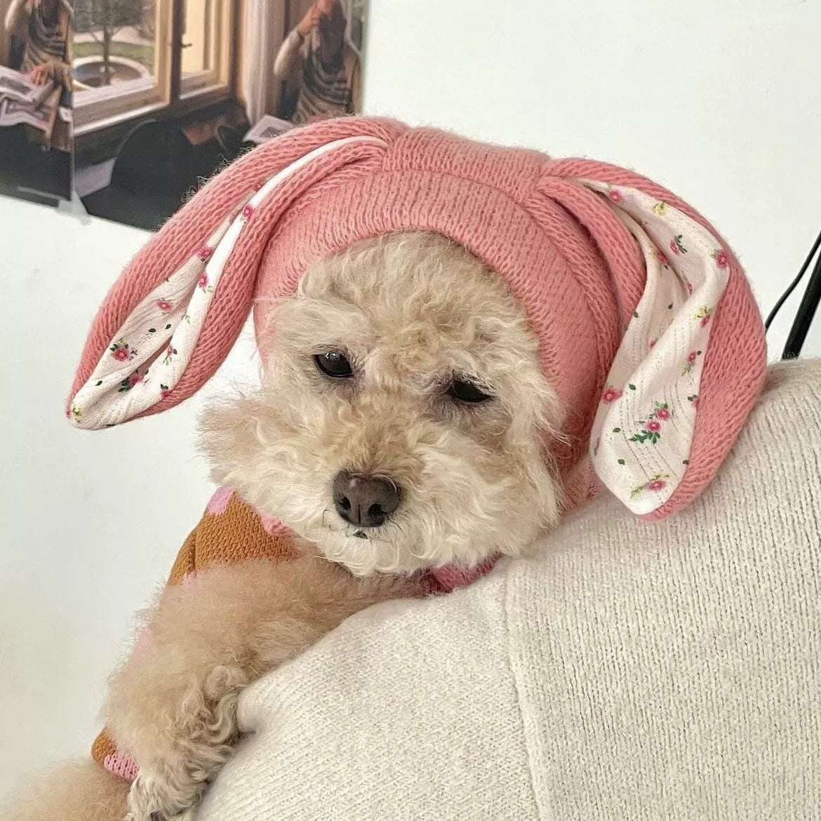 Pet Hat Autumn and Winter Warm Knitted Hat Casual Cute Rabbit Ears Headwear Dogs and Cats Break Neutral Pink