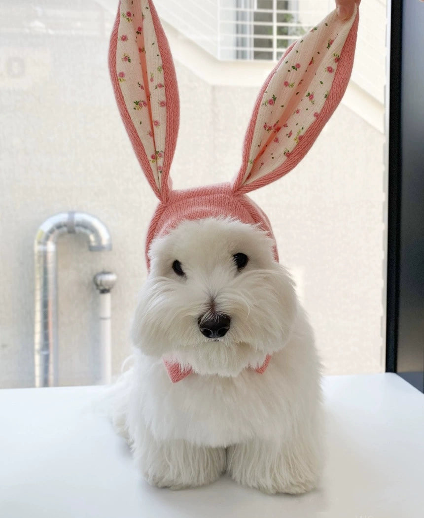 Pet Hat Autumn and Winter Warm Knitted Hat Casual Cute Rabbit Ears Headwear Dogs and Cats Break Neutral Pink