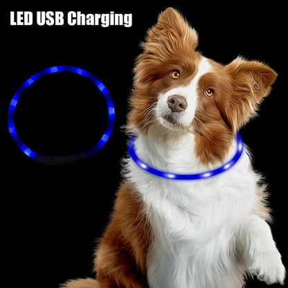 Night Safety Flashing Glow  Collar Night Luminous Charge Collar Led Usb Dog Collar Pet Accessories Dog Accessories