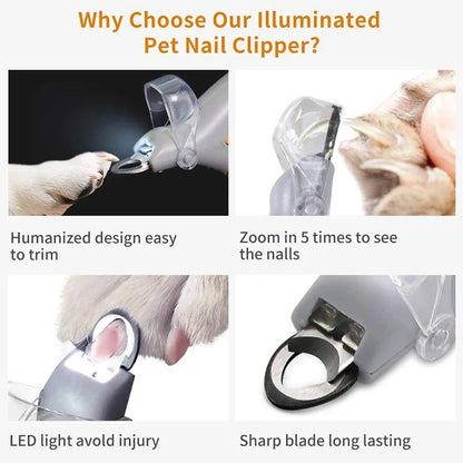 Professional Pet Nail Clipper Scissors With LED Light Cat Dog Nail Clippers Tool Scissors Nail Toeclaw Cutter Scissors Pet Suppl