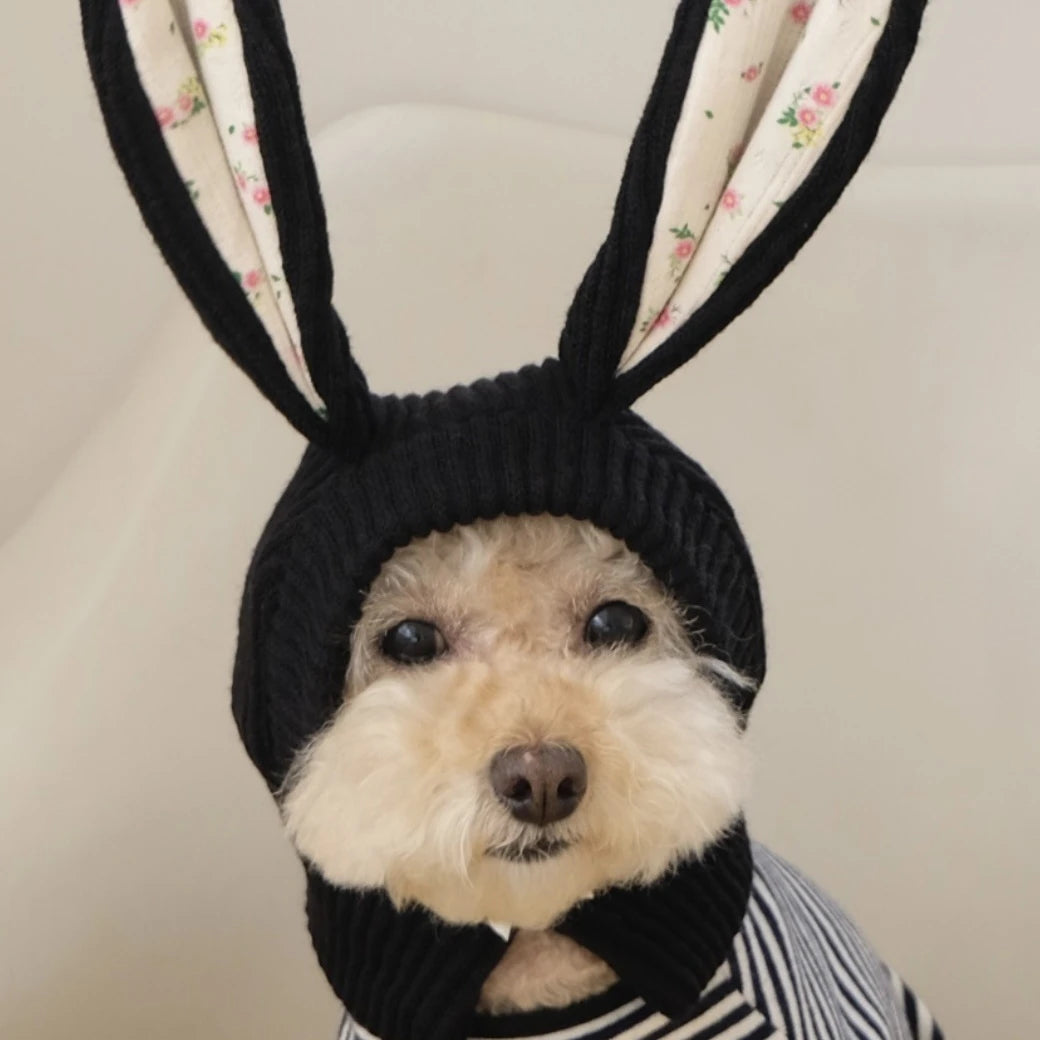 Cute Rabbit Ears Pet Knitted Hat for Autumn Winter Warm Cats Cute Dogs Decoration Pet Dog Costume Dog Hat Dogs Accessoires