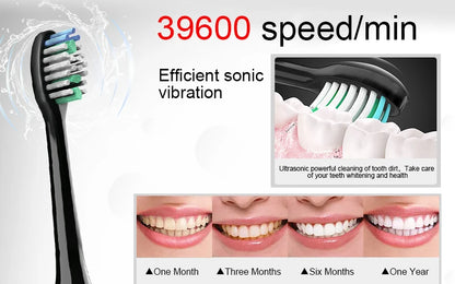 Smart Sonic Electric Toothbrush Ultrasound IPX7 Rechargeable Tooth Brush 5 Mode Smart Time Whitener Teethbrush Sarmocare S100