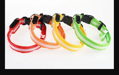 Dog Collar Nylon LED Night Safety Flashing Glow In The Dark Pet Dog Leash pet Dogs Luminous Fluorescent  dog accessories collar